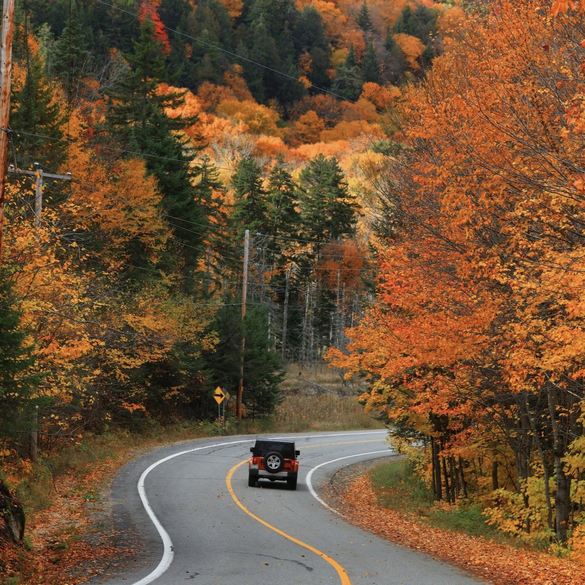 Goodyear Türkiye tweet media