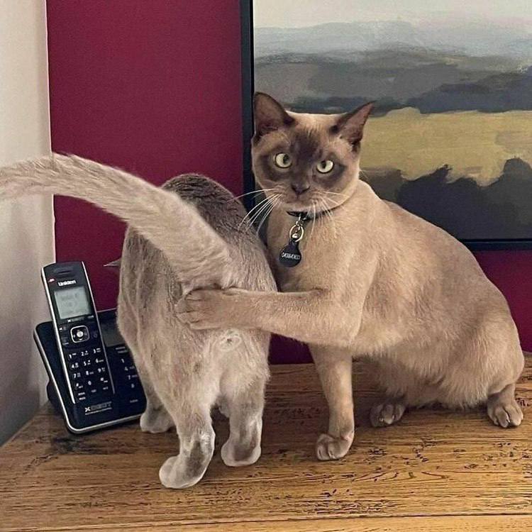 Stephen....🐧💜 tweet media