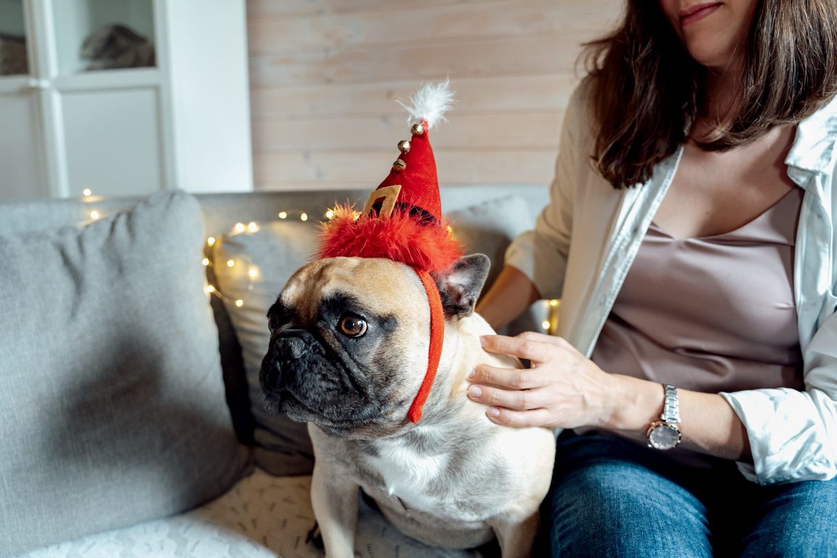 5 Ways to Cope with #Anxiety During the #HolidaySeason

The holidays are a wonderful time, but they can also bring added stress, especially if you struggle with anxiety. 

Here are five ways to help you manage and find calm from Mental Health UK: mentalhealth-uk.org/blog/coping-wi…