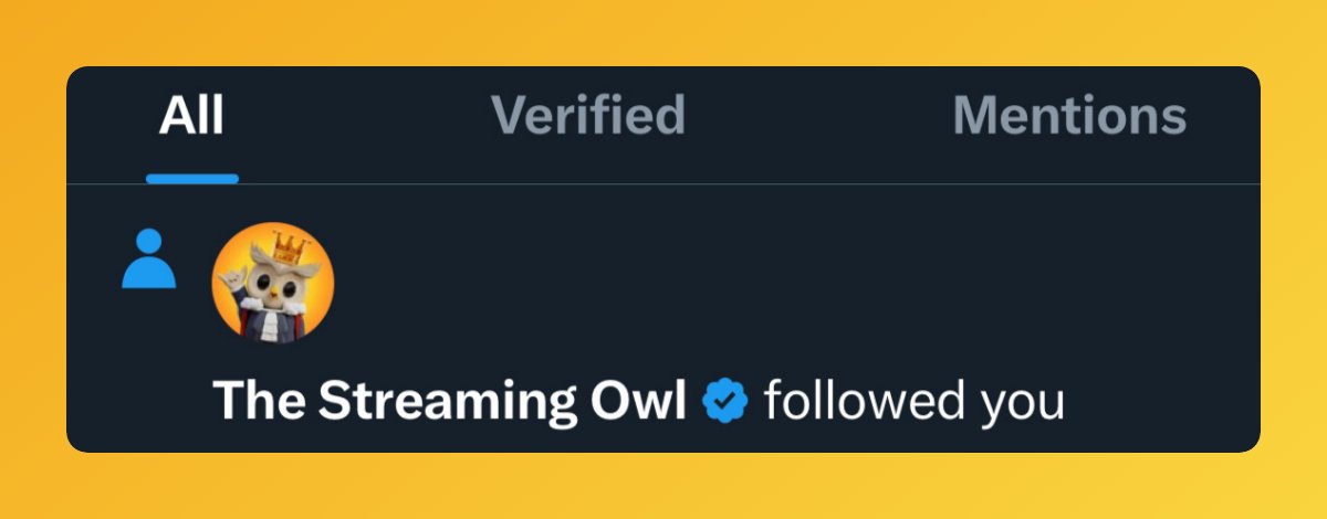 Owl tweet media