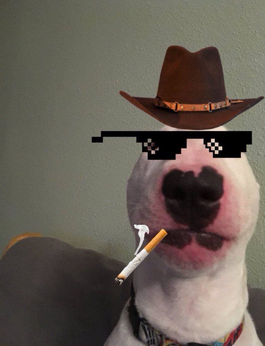 WoofDeng's tweet photo. @elonmusk Be my dad Elon, adopt me like you did with @dogecoin ๐ข #WOOFDENG https://t.co/GQTR0RfL5j