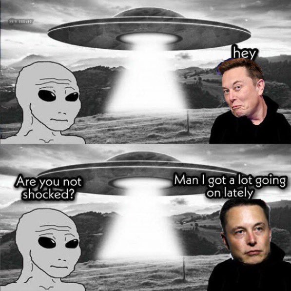 Doge Norway tweet media