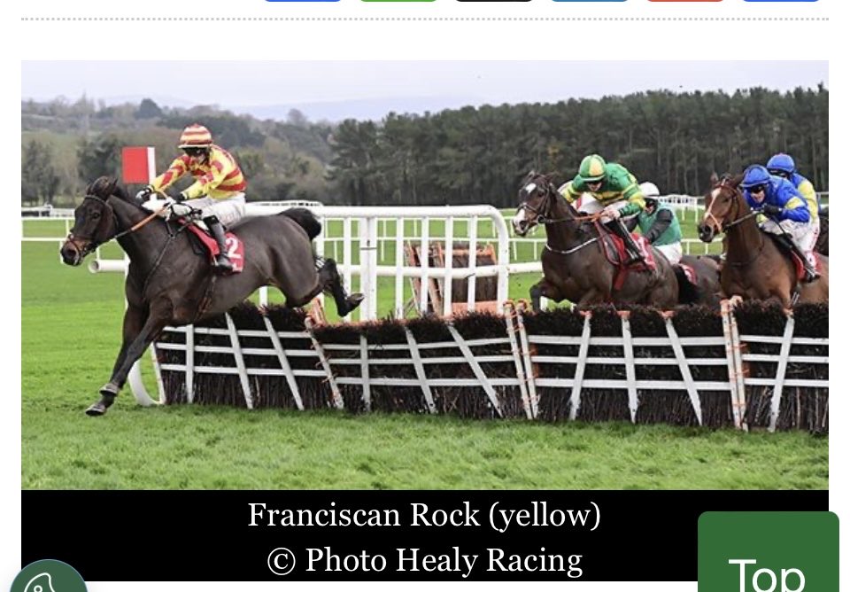 majormouse1's tweet photo. Punchestown today https://t.co/z6VgumVA0F
