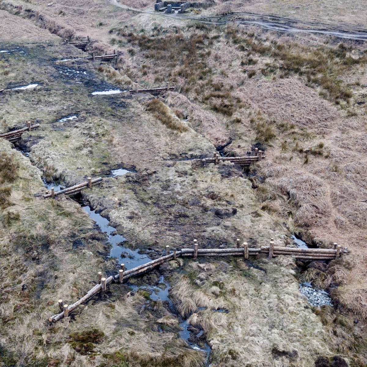 To prevent flooding in our communities, we must start in the uplands.

Replanting woodlands and restoring peat bogs helps store more water in the landscape, reducing the risk downstream.

We can keep building higher flood walls, but working with nature is far more effective.