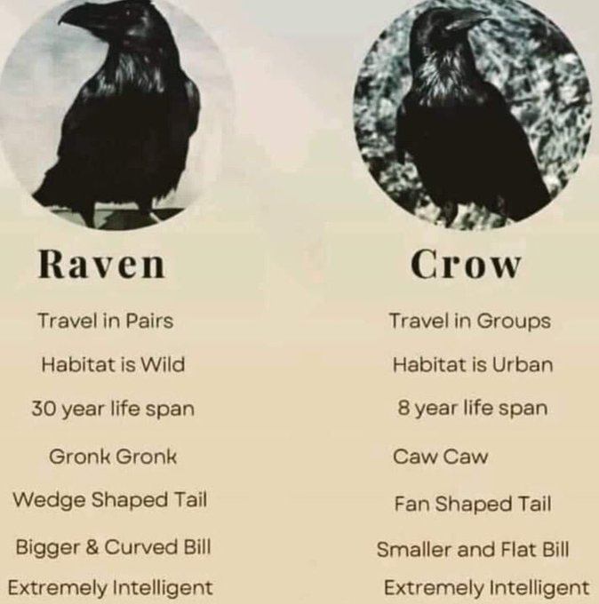 In case you still find hard to tell them apart.