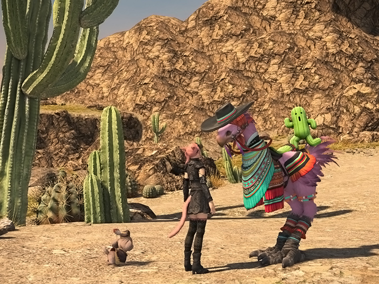 MTG_and's tweet photo. この前拾った極エターナルQの素材でチョコボ装甲作ってみたっ💖
でもやっぱサボテンダー乗っかってるほうが可愛くて好きかなっ🙄

今週で11月が終わるなんて…早すぎるーっ😇😇

#FF14 #XIV_PICTCLIP #FF14SS #FFXIV #PS5 https://t.co/seWBkXNsa0