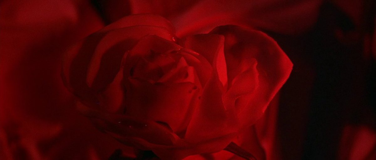 Evil Gremlin tweet media