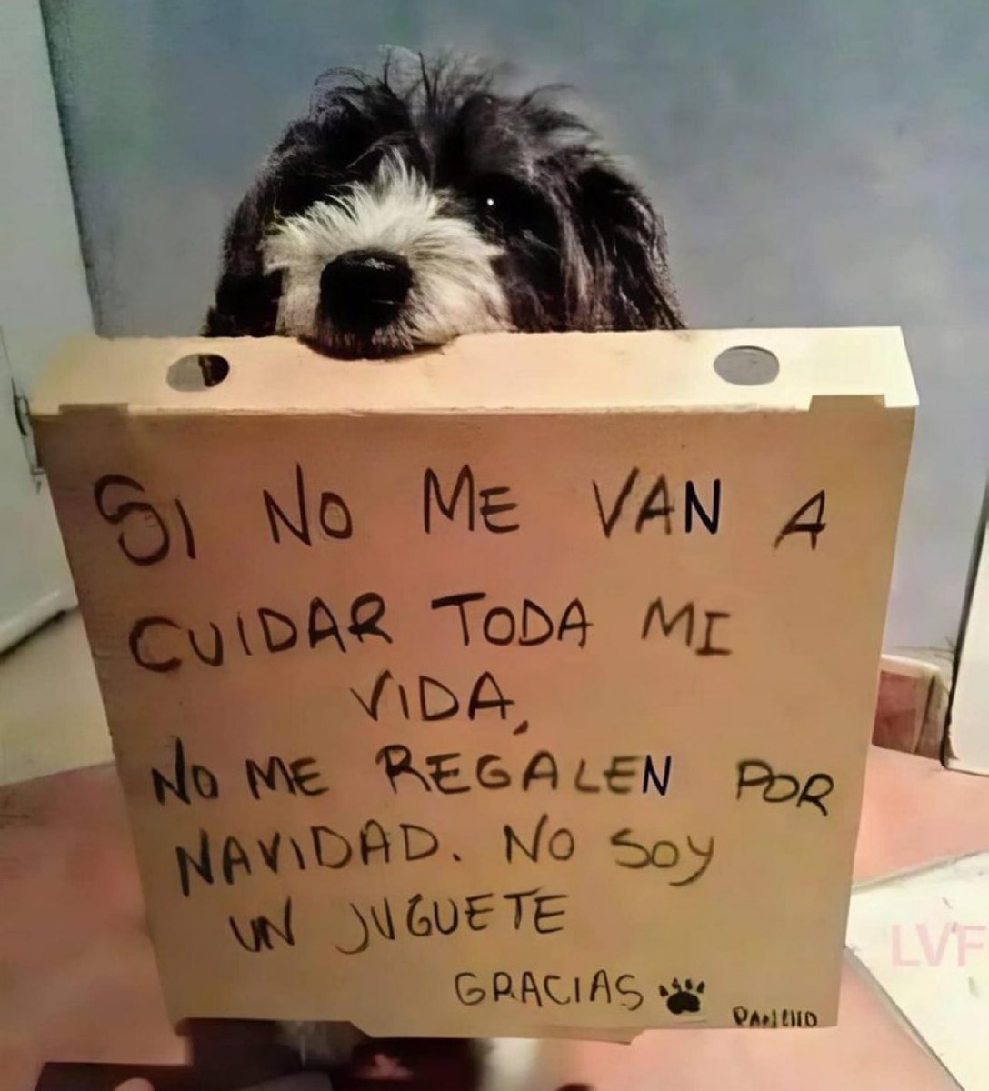 beadifusiones's tweet photo. https://t.co/SOpST6lY2B