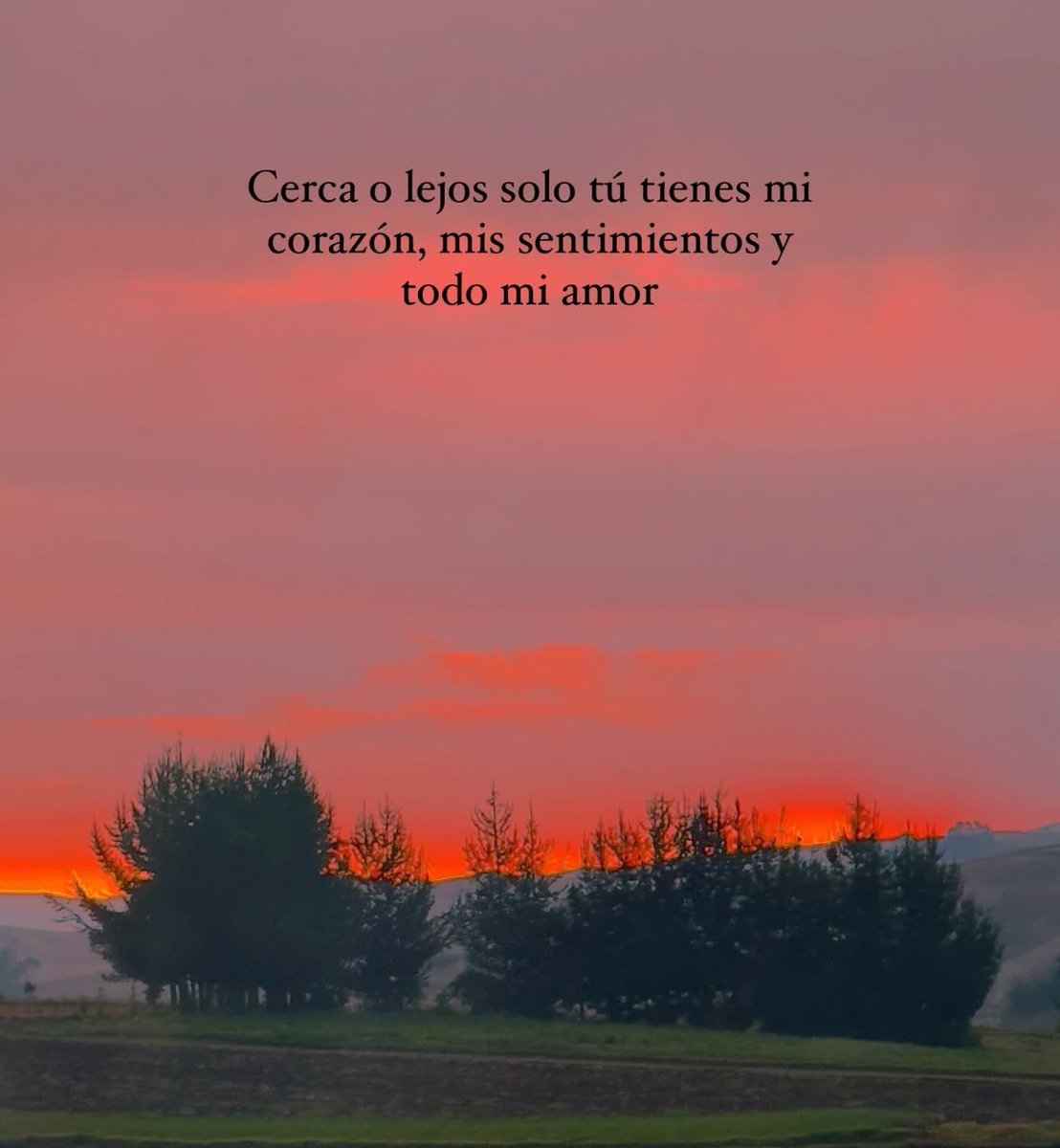 dilocondibujos_'s tweet photo. Tú tienes todo mi amor 🧡 https://t.co/coImx0cOfN