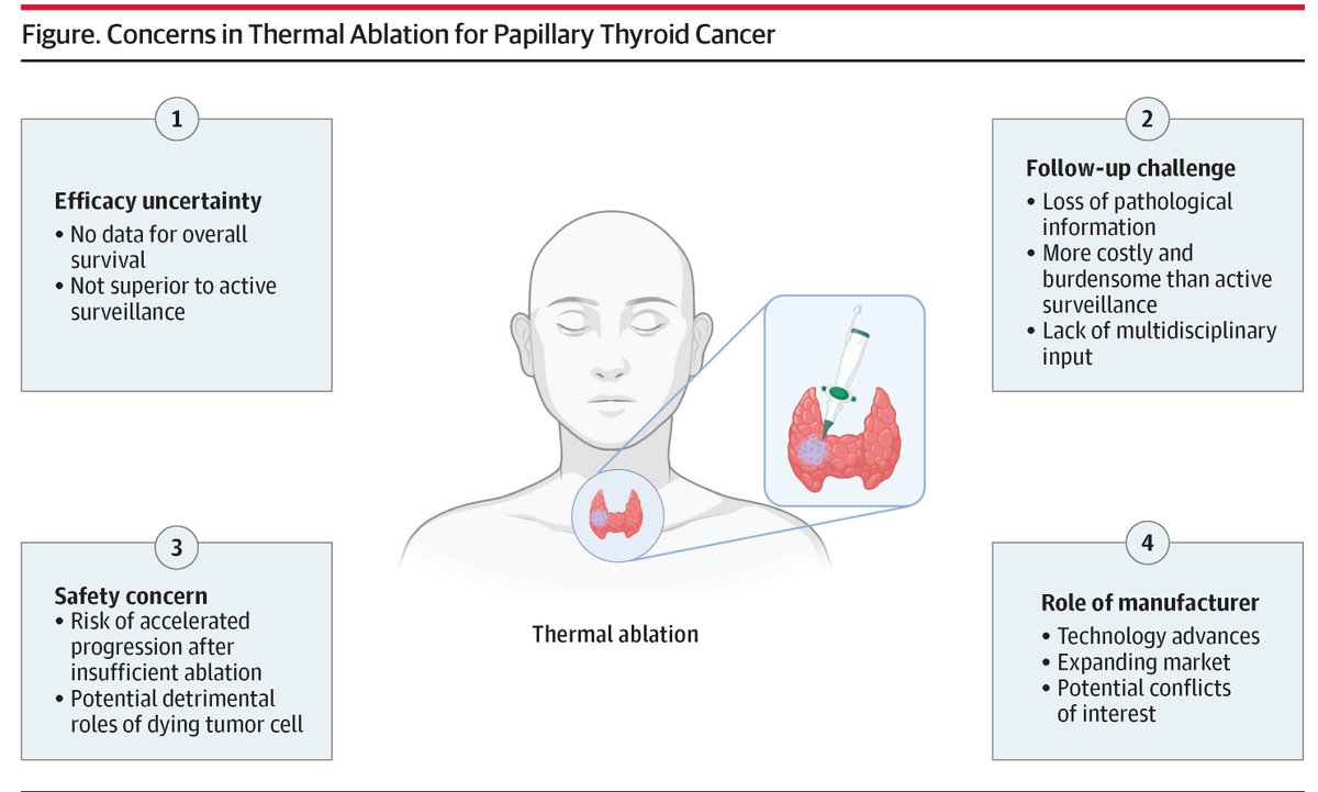 Thermal ablation is gaining popularity for treating PTC, yet it is not supported by high-quality evidence. Concerns persist, including uncertain prognosis, follow-up challenges, safety issues, and the potential influence of equipment manufacturers. ja.ma/40Z2Mvq