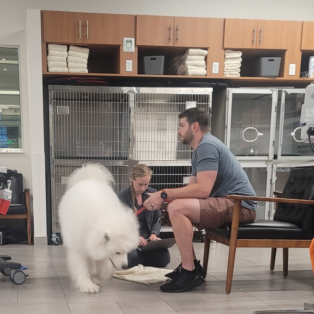 VEGERforpets's tweet image. 🧐 I spy with my little eye...

A doctor sitting on the floor where your pet is most comfortable! 🤣❤️🐾

📍VEG Seattle, WA

#vegolution #pethospital #dog #ispy