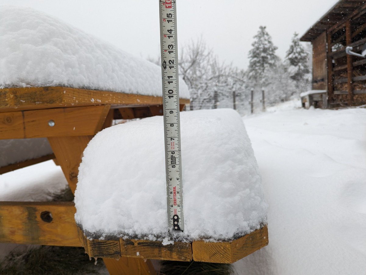 LewisDortch's tweet photo. Snow in Coram over the weekend. #montana #snow #mtwx 
📸 Gary Paduana https://t.co/ZIB8LyWUCR