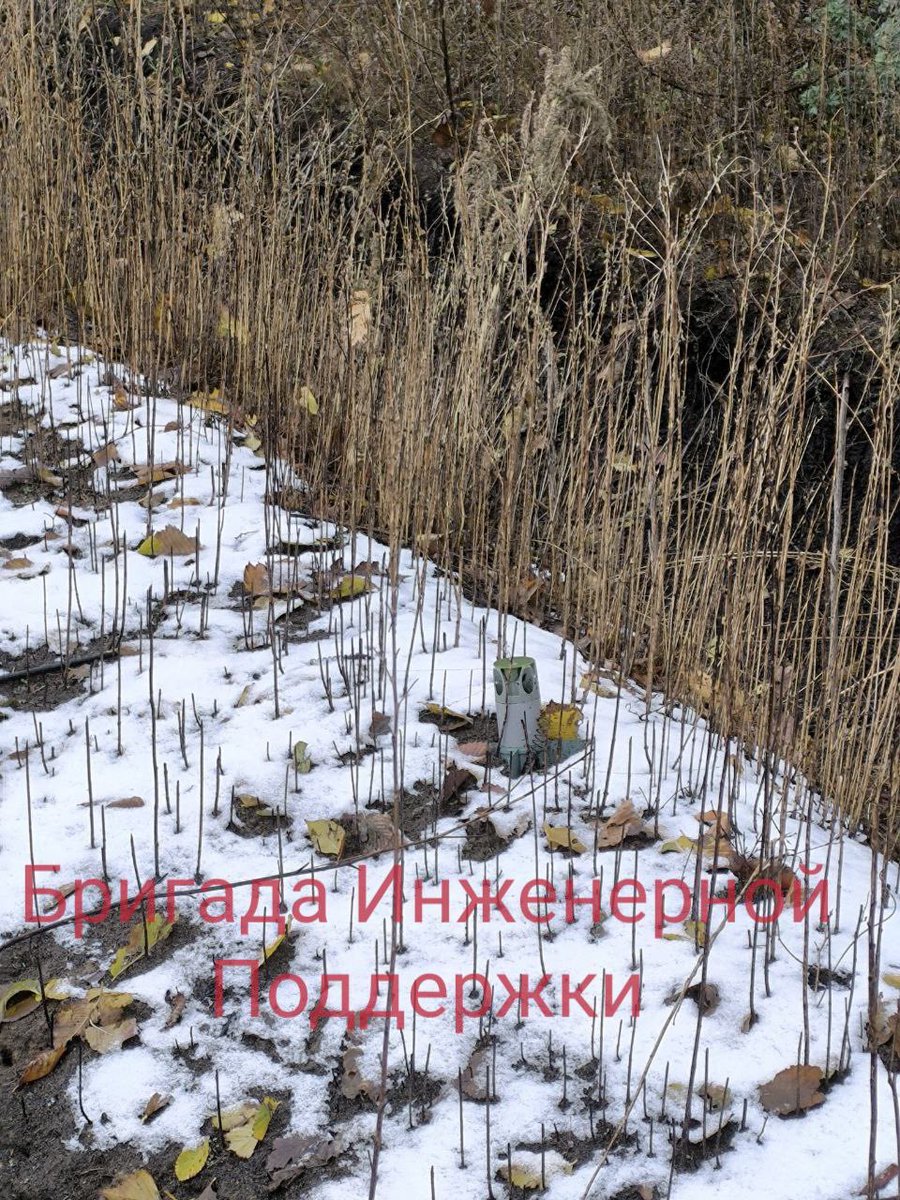 Tweet image 1