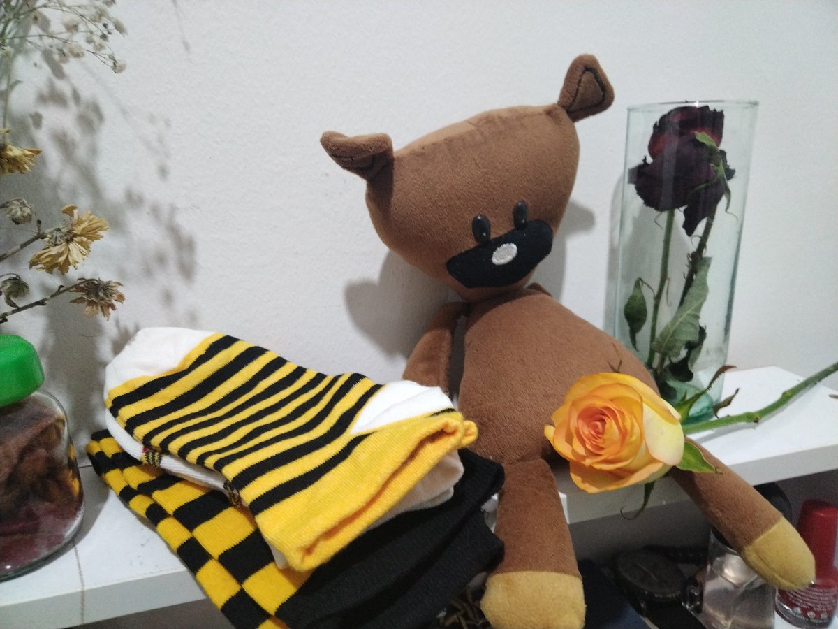 sin_mou8's tweet photo. 4.9.1403
21:20
60 ر. 💍 https://t.co/pOBb1BkSJC