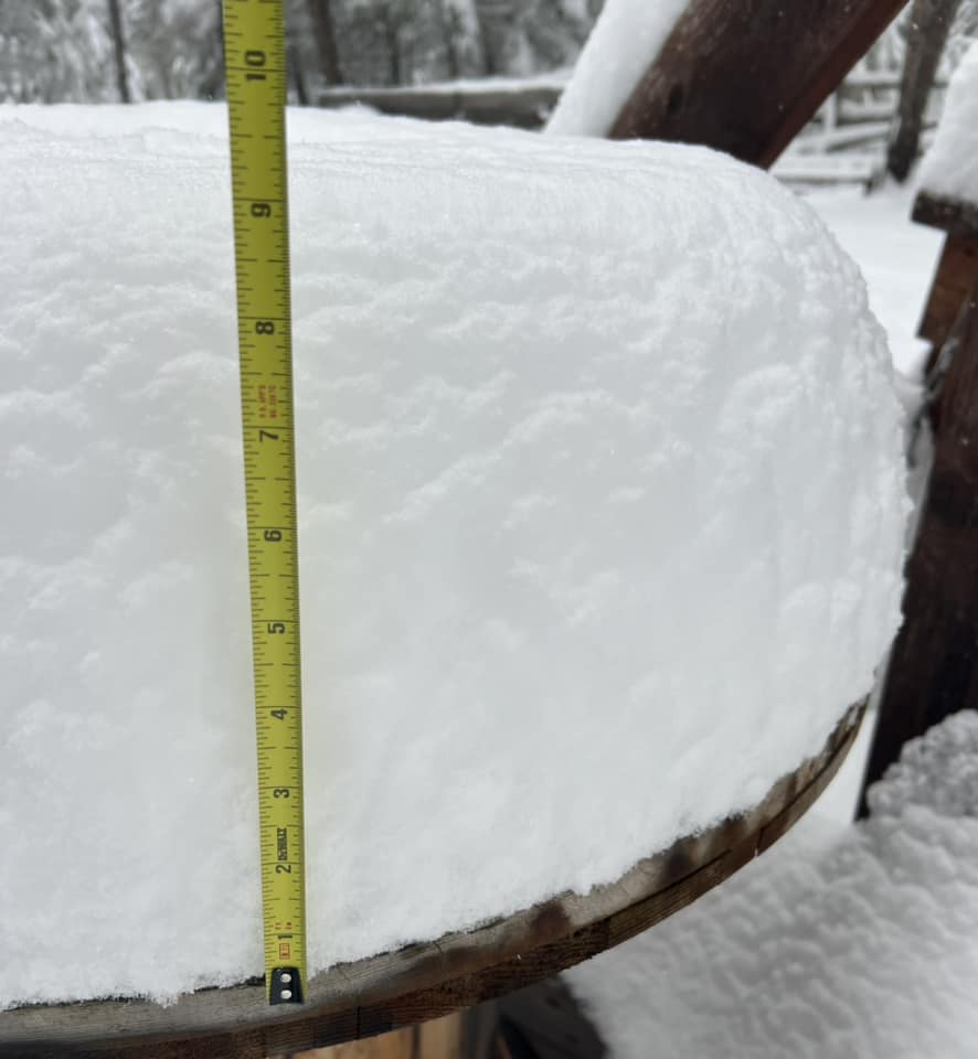 LewisDortch's tweet photo. Snow in Eureka since Friday. #snow #montana 
📸 Alecia Rae https://t.co/26LC6YT0oj