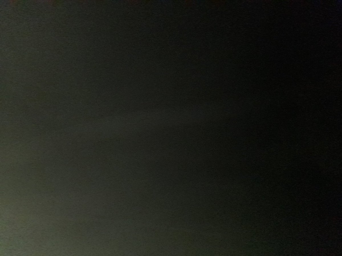 Art Follower 🐀🏳️‍🌈 tweet media