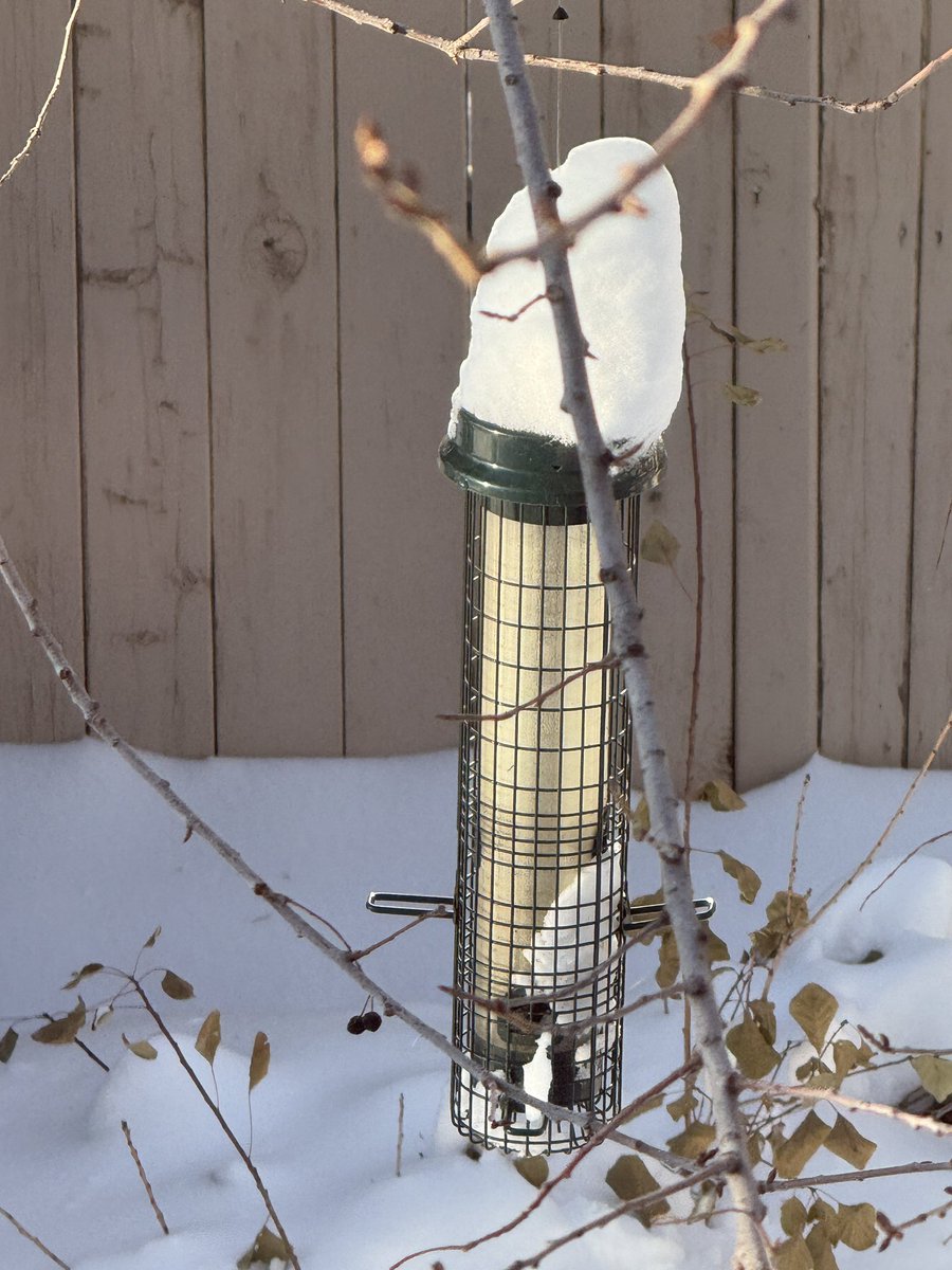 Bryan Labby tweet media