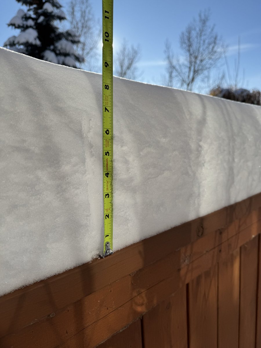 Bryan Labby tweet media