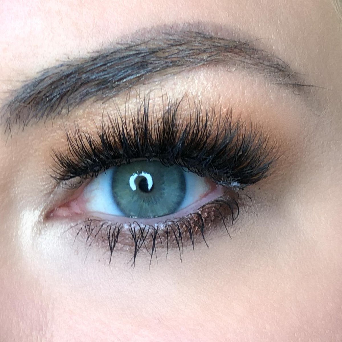 amyjunelashes's tweet photo. OBSESSED with ‘Rita’ for the perfect everyday lash look! Effortlessly chic and natural, you'll love It. 😍 Shop now at https://t.co/AAscwykasn and elevate your lash game! 💕

#amyjunelashes #lashes #lashextensions #eyelashes #beauty https://t.co/KHEeviRcbH