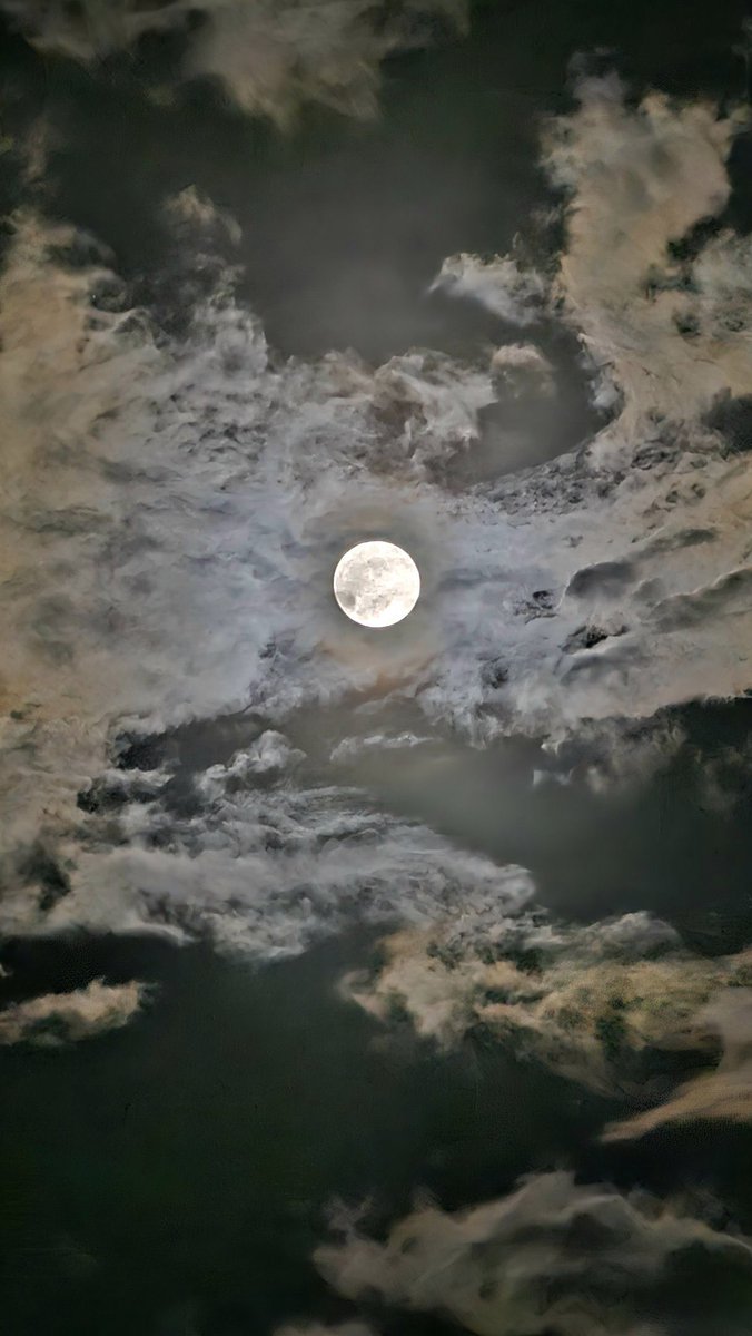 DailyHaiku575's tweet photo. Silver eye ascends,
Casting spells on restless seas,
Night bows to its glare.

#DailyHaiku 🌕 https://t.co/FhS2YXl7Ps