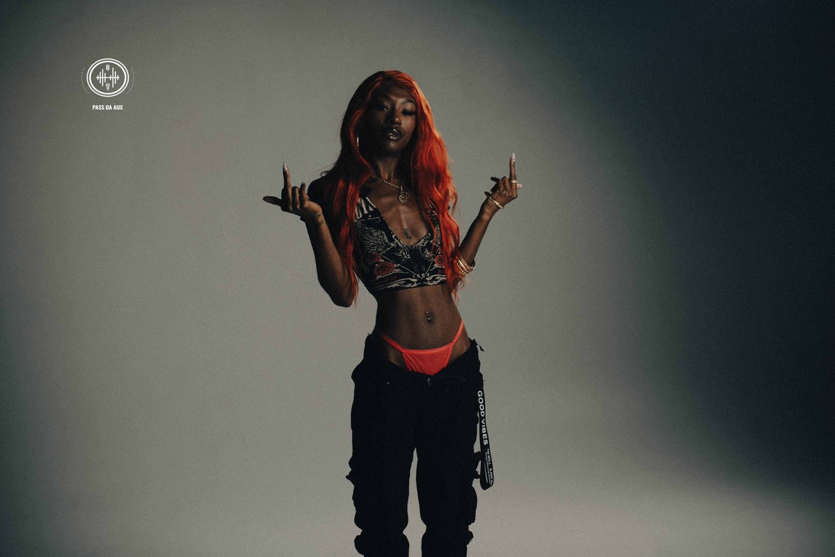 PassDaAUX's tweet photo. S/O to @brienabrinay! She delivered two different moods for her #PassDaAUX performance last SZN to give the audience a taste of exactly what she can do & left the audience wowed! A truly multidimensional artist & creative, be sure to support Paxxiøn!
•
Who’s next? #PDA #PDASilhouettes | Powered by @MachinaMedium & @abelofearth 🤘