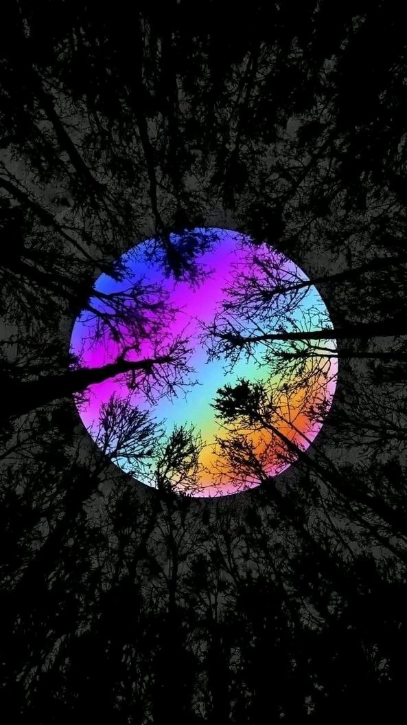 Laywon3's tweet image. Would love to see a view like this someday 😎😌