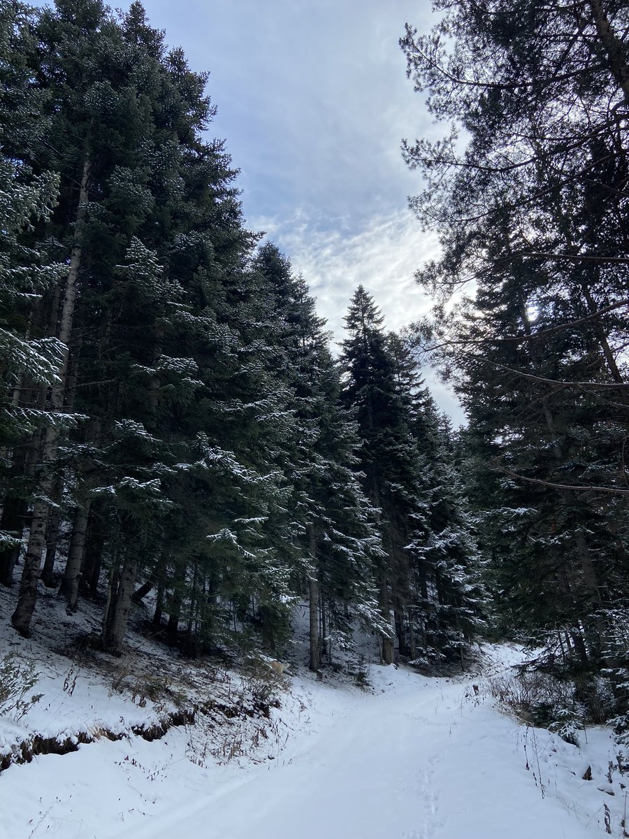 esmanur28x's tweet photo. Bu terapiden lazım 🥲 GİRESUN/ALUCRA 🥺 https://t.co/2MMOyBwJe8