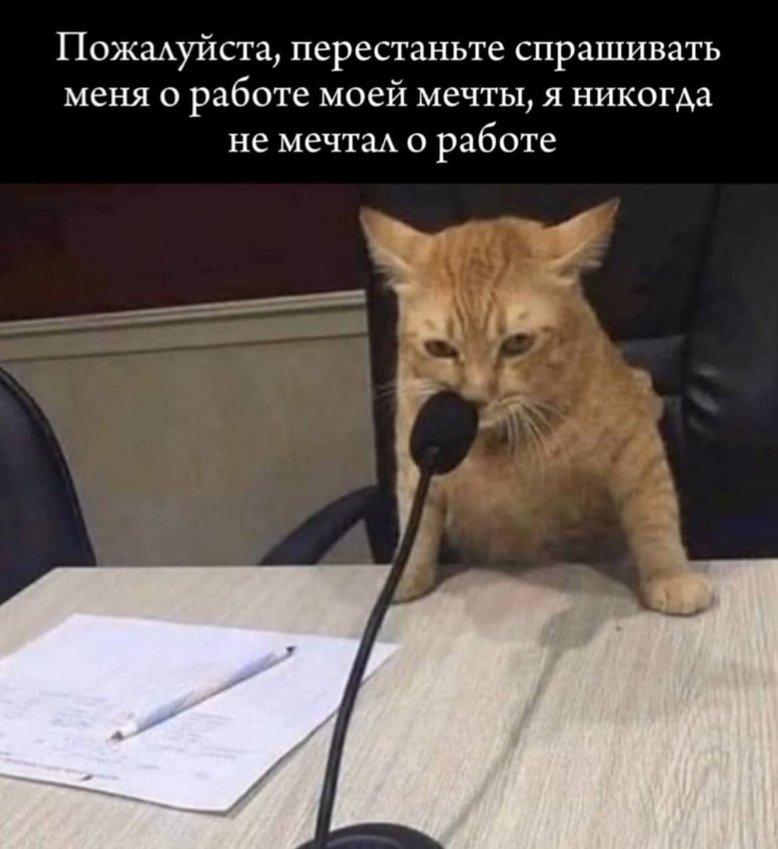 🐸жабья принцесса👑 (@kxiq7u7oc8nsgnc) on Twitter photo 