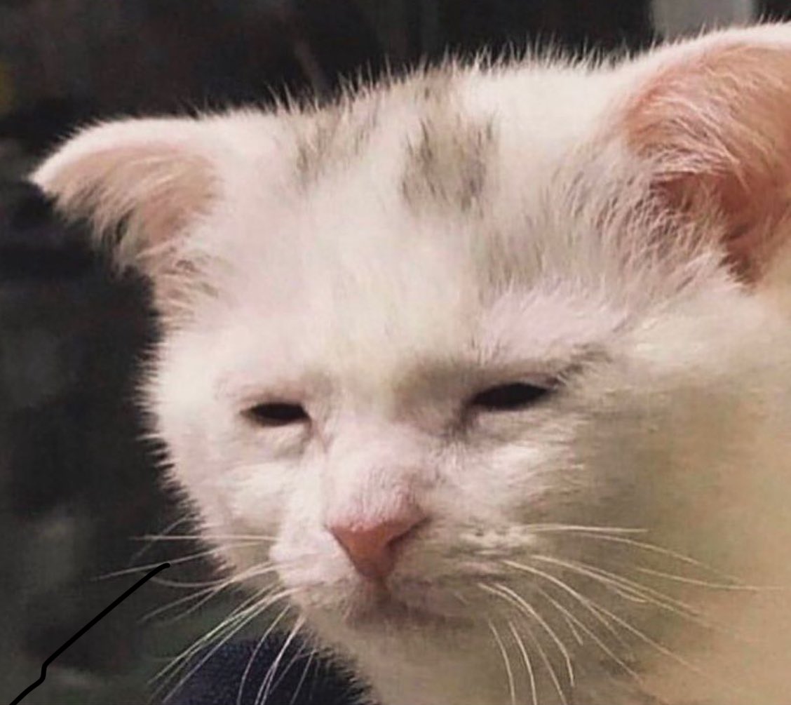 yoursoberpal's tweet photo. Me waiting for my trauma to alchemize into wisdom or at least something I can monetize. https://t.co/5BL5tuFrPe