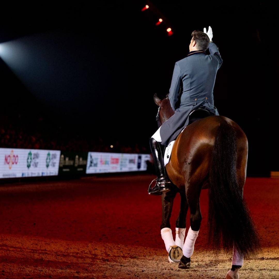 Gracias por acompañarnos en esta edición 👏🏻👏🏻👏🏻

Os esperamos en #SICAB2025 ✨

#SICAB #SICAB2025 #ANCCE #Caballos #PuraRazaEspañola #CaballoEspañol #CaballoPRE