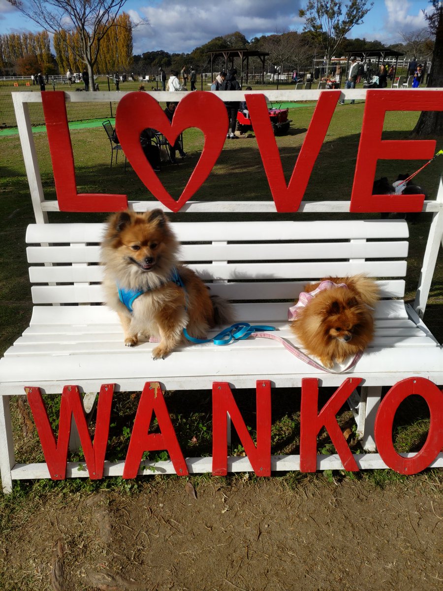 ありがとうちぃさん - Search / X