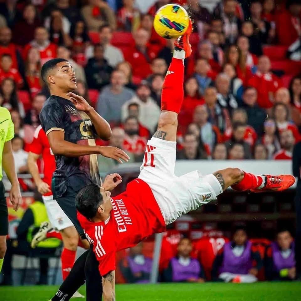 Cold Benfica Pictures (@coldbenfica) on Twitter photo 