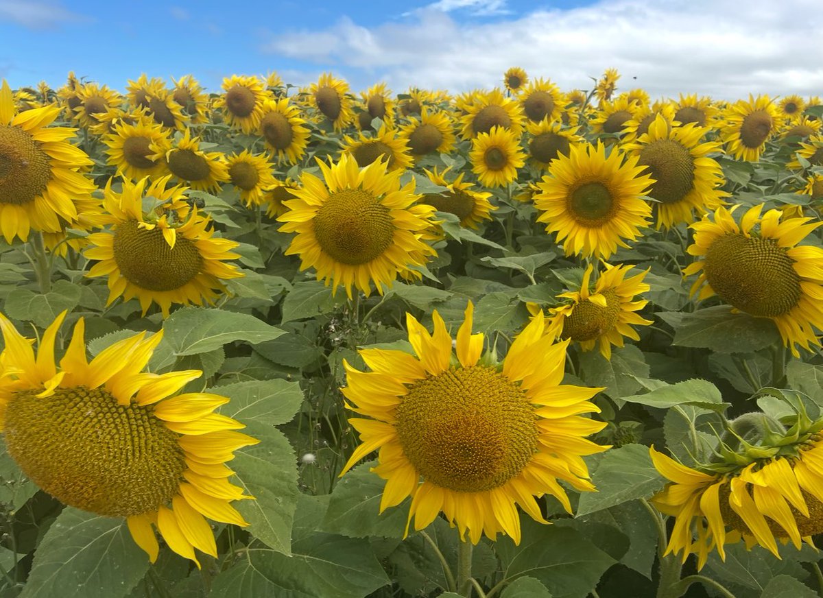 New Zealand! I’m coming to see you in January! 
Who’s coming? 
If you haven’t got your tickets, there are some available for Wellington, New Plymouth, Hamilton, Tauranga, Auckland.
Can’t wait to see you all!
Please note, this is not the full list. This is just the list of shows