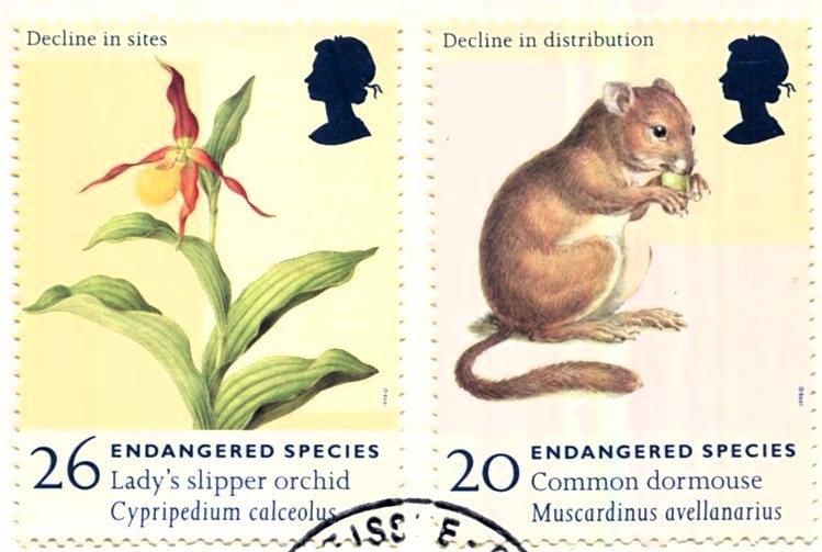 1998: Endangered Species
#philately #Stamps #flora #fauna #orchid #dormouse