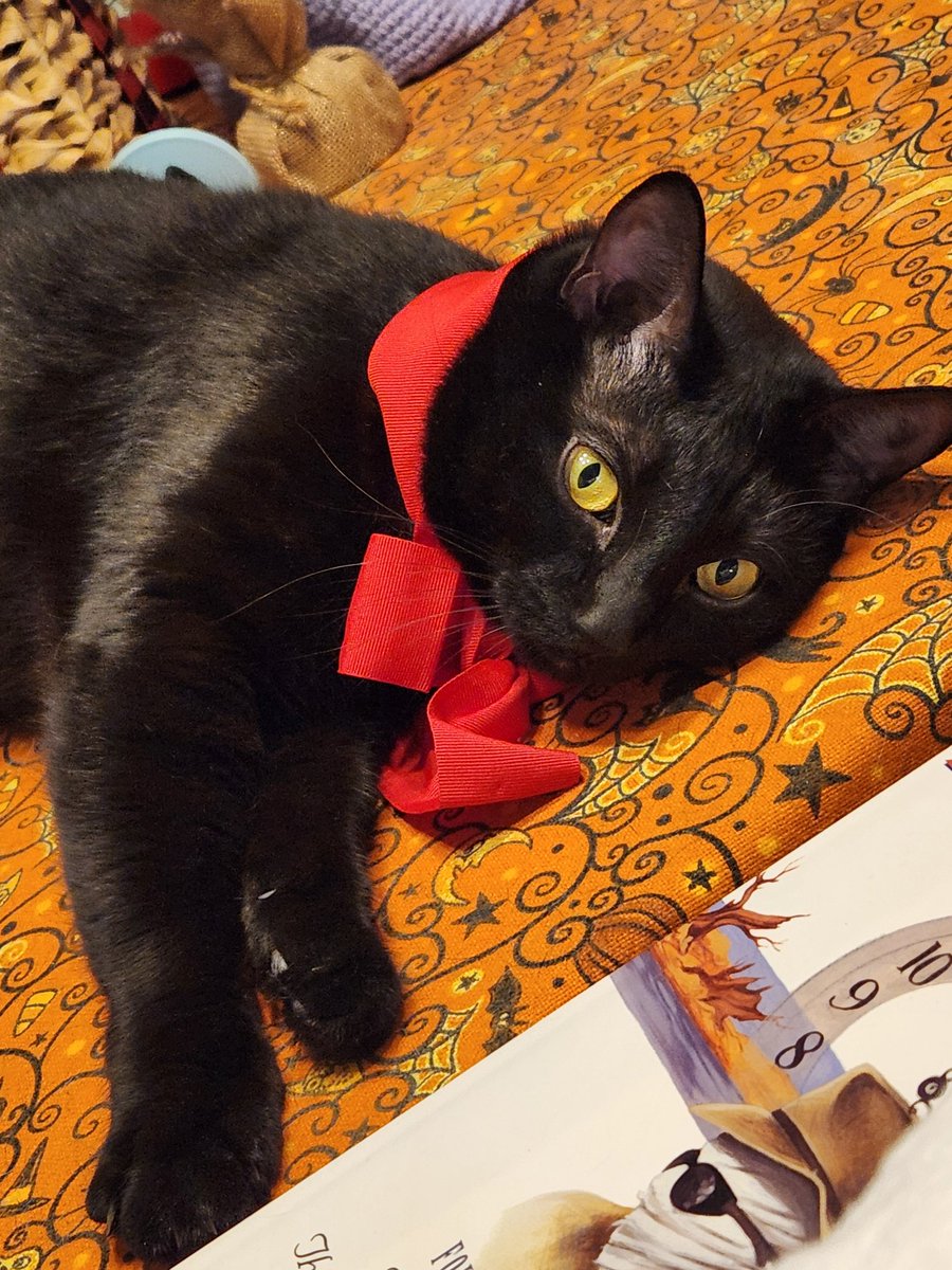 Emily says hello. Please say it back.