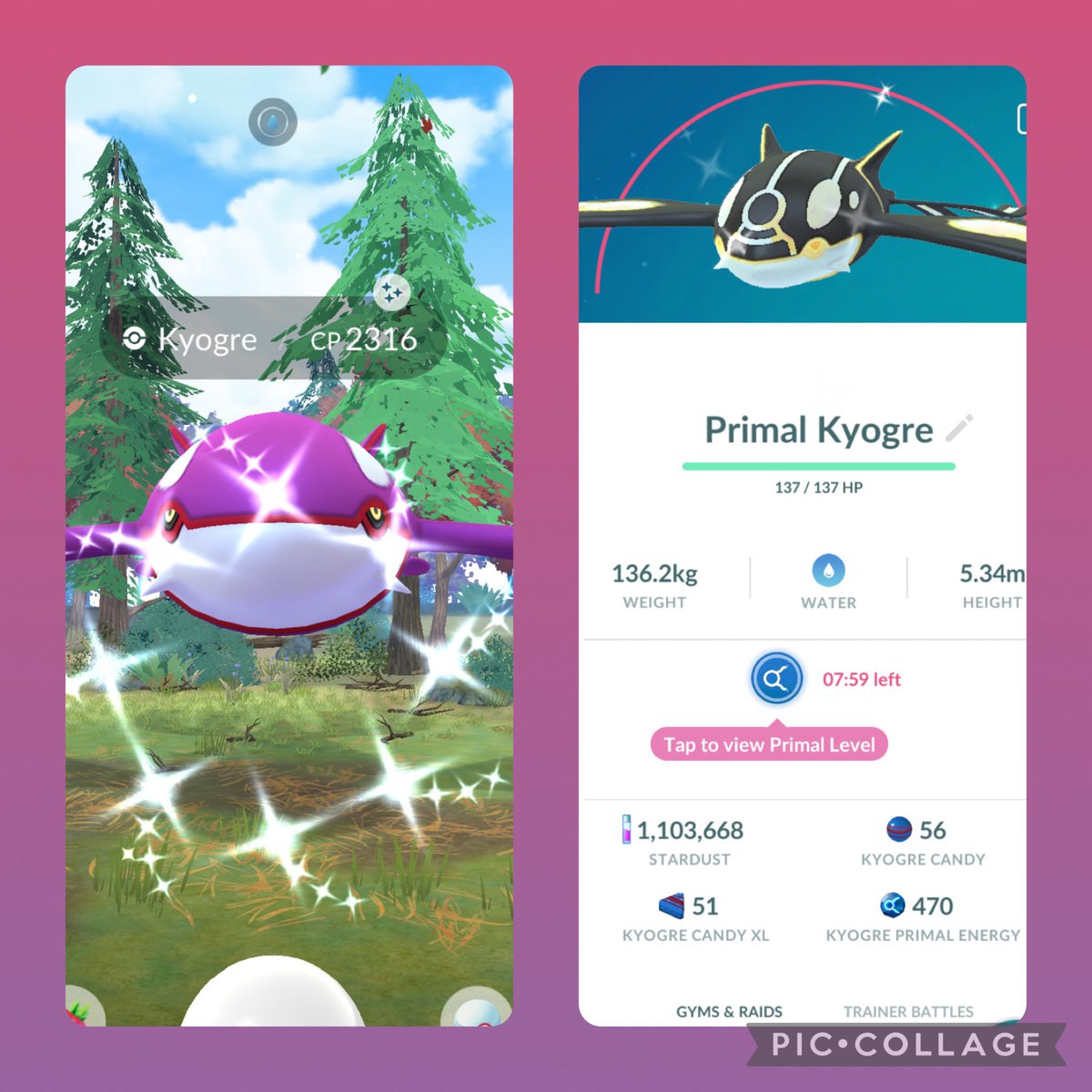 franshinies's tweet photo. shiny kyogre #pokemon #pokemongo #poké #pokemoncards #pokemontcg #pokemongofriends #pokemonjourneys #pokemoncommunity #gamergirl #gaming #gamer #gamergirls #overwatch #overwatch2 #ow2 #ow #overwatchedit #twitch #twitchstreamer #girltwitchstreamers https://t.co/F4eUdgKGaj