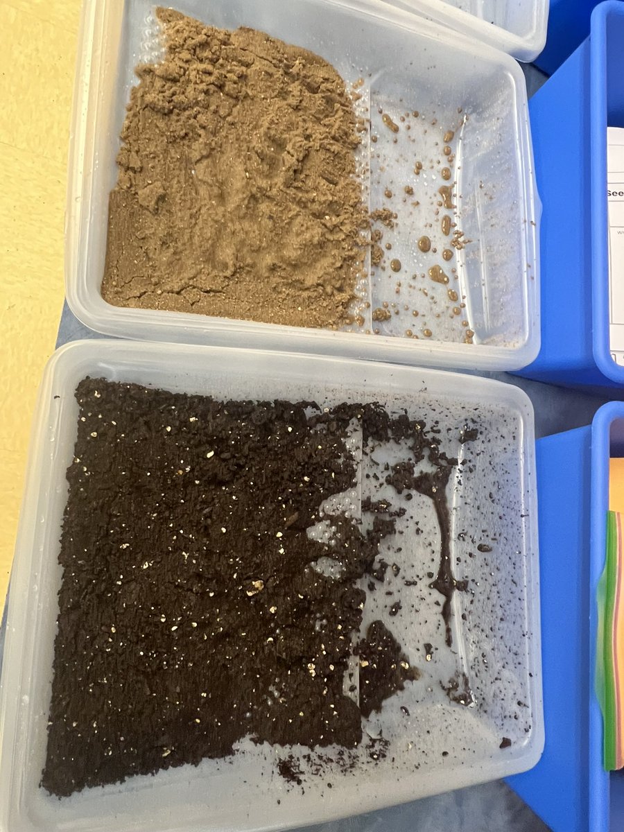 Tricia Mangas tweet media