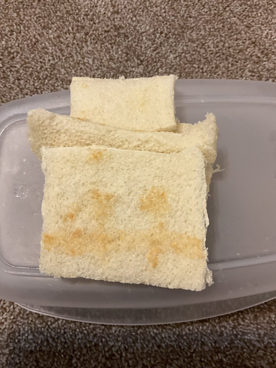 fidoiscool's tweet photo. @thebehemoth i made a hatty sandwich https://t.co/gxrZPtl3EI
