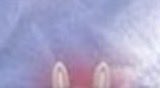 GlowATL's tweet photo. @ShadowofEzra Those rabbit or bunny ears…? Pink. Makes me think of the A~chrome bullshit. These people are SICK! https://t.co/9zw7m4lY9P