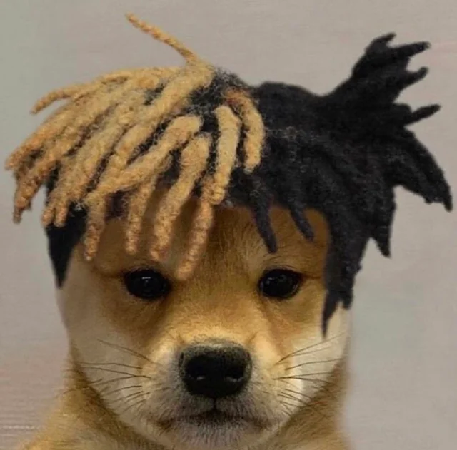 RileyTaugor 🏴 tweet media