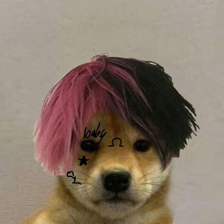 RileyTaugor 🏴 tweet media