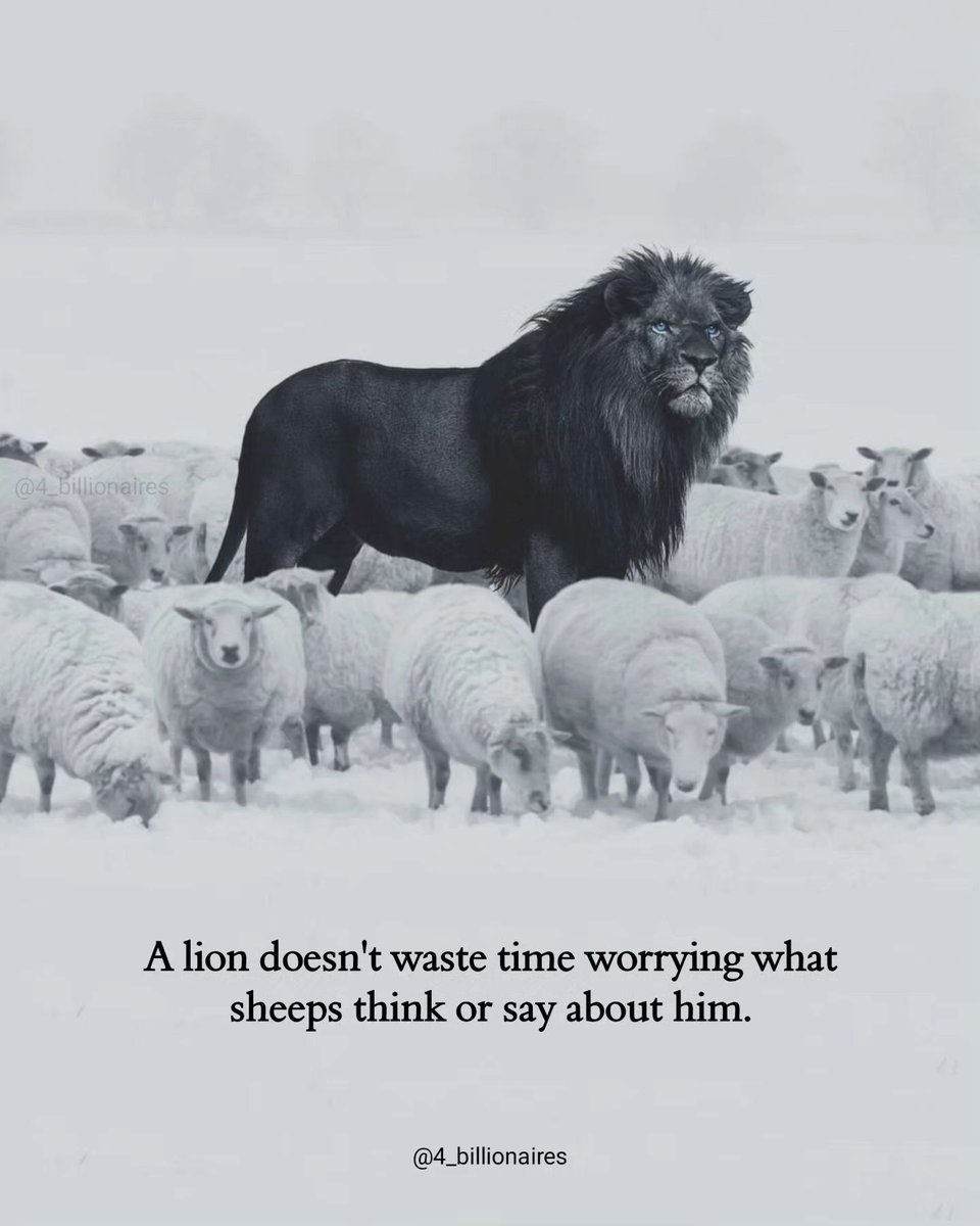 Mind Essentials (@mind_essentials) on Twitter photo 