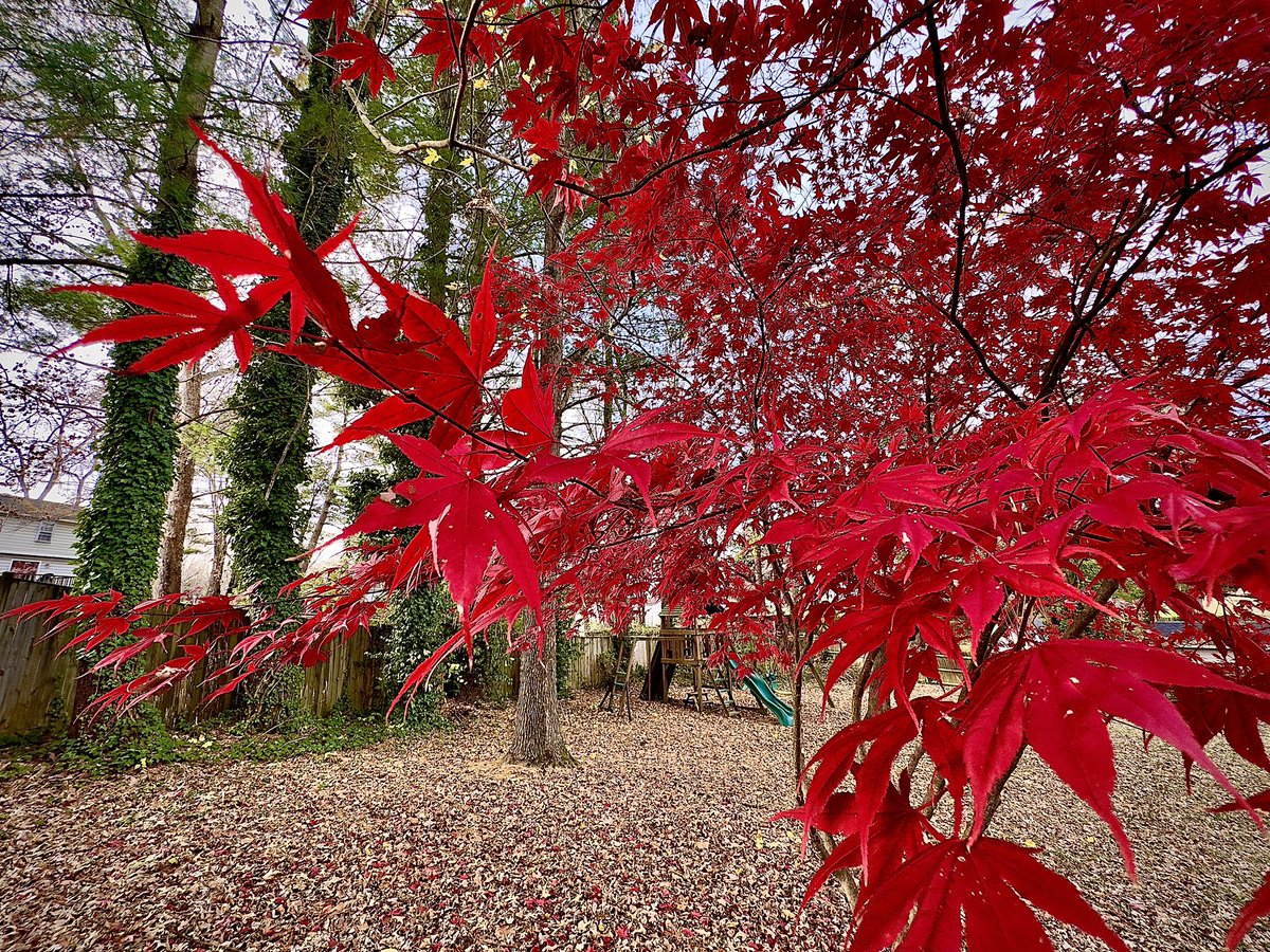 Rick Stoddard tweet media