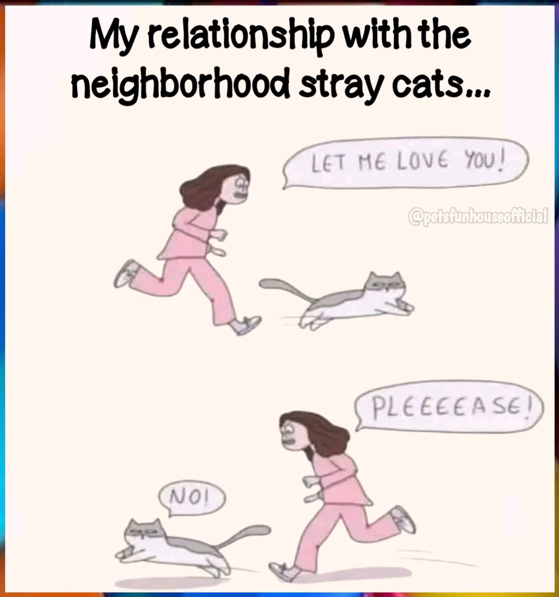 pets_fun_house's tweet image. 