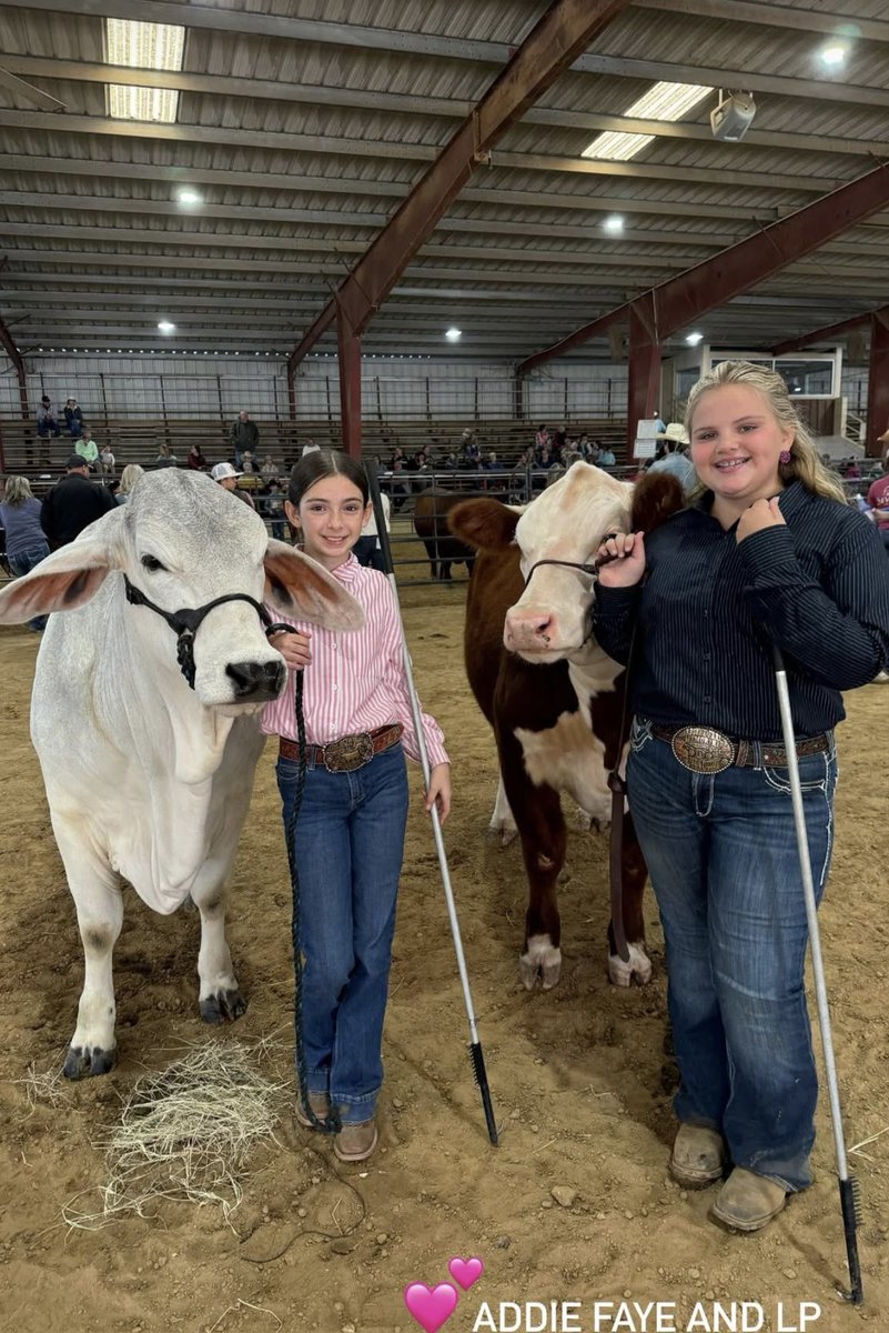 Rhondafonda1981's tweet photo. Addie and her BFF finished 1 & 2 in showmanship out of 38 kids in their age division… Loni got $150 for 1st and Addie got $100 for 2nd overall in Jr Showmanship. They were quite excited to win some Christmas money!😆❤️🙌 #IronSharpensIron #BestFriendGoals #RaisedInABarn https://t.co/y9rLLoPxop