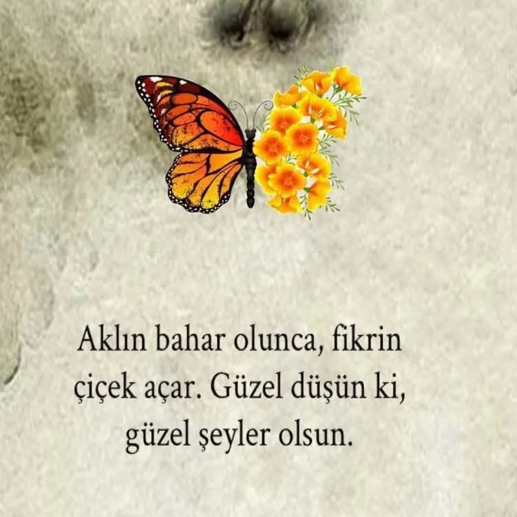 Kingoctapus (@kingoctapus) on Twitter photo 