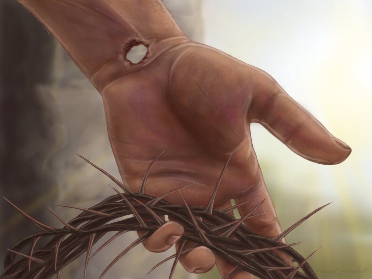 Faith Alone Saves ✟ tweet media