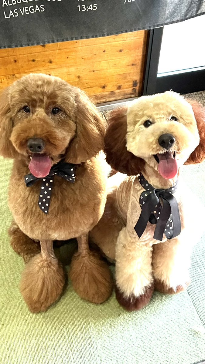 Fumi_Fumi428 (@Fumi_Fumi428) / Posts / X