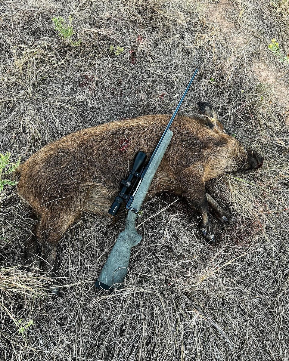 SavageArms's tweet photo. #hoghunting #pighunting #hog #pig #texas #baylorcounty #savagearms #vortexnation #federalpremium #federalammo #vortexoptics #7mm
Instagram://adam.arredondo7
Tag us in your pictures with #WeAreSavage for a chance to be featured on our social pages and website! https://t.co/P8jyOlV7ZI