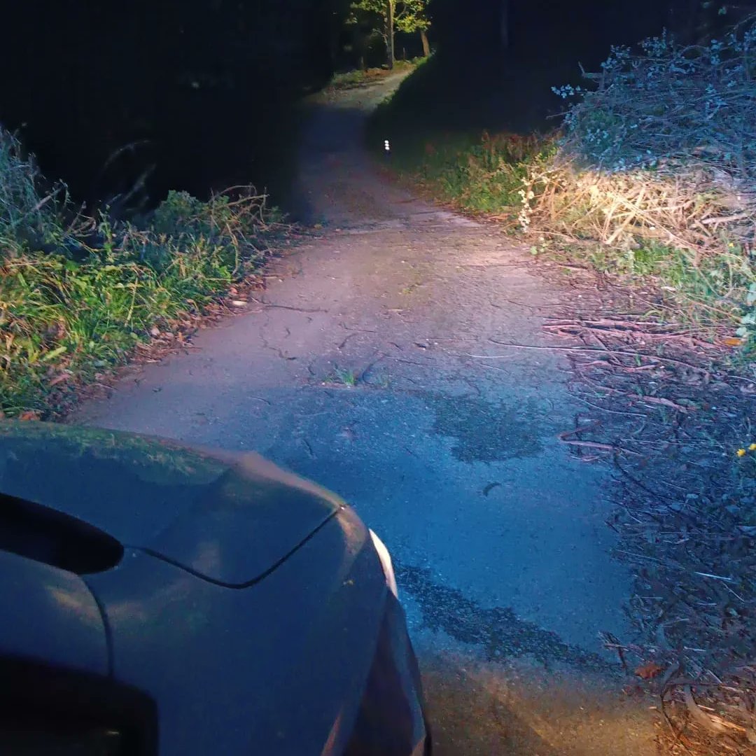 PC_Cartes's tweet photo. 🌳CAIDA DE ARBOLES🌳

Tras varios avisos parte de nuestro grupo de voluntarios acudio a la retirada de varios arboles caidos en la carretera a mercadal.

Procediendo asi a la retirada de los mismos que obstaculizaban el paso de la via.

#ProteccionCivil #cartes https://t.co/YXiBMzrSfM